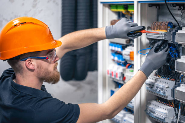 Best Electric Panel Repair  in Logan, NM